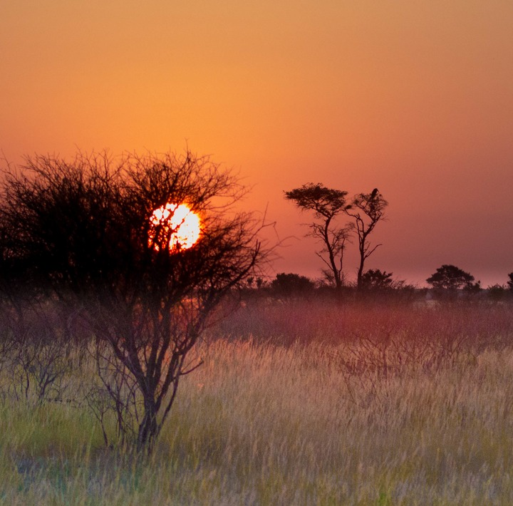 128-Botswana, Kalahari