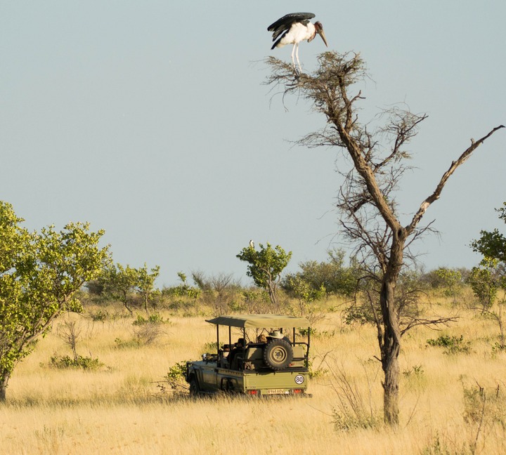 136-Botswana, Kalahari