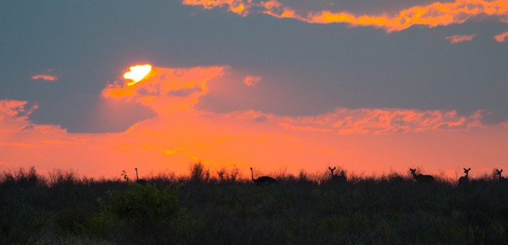 151-Botswana, Kalahari