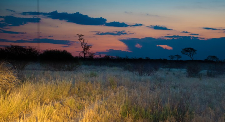 156-Botswana, Kalahari