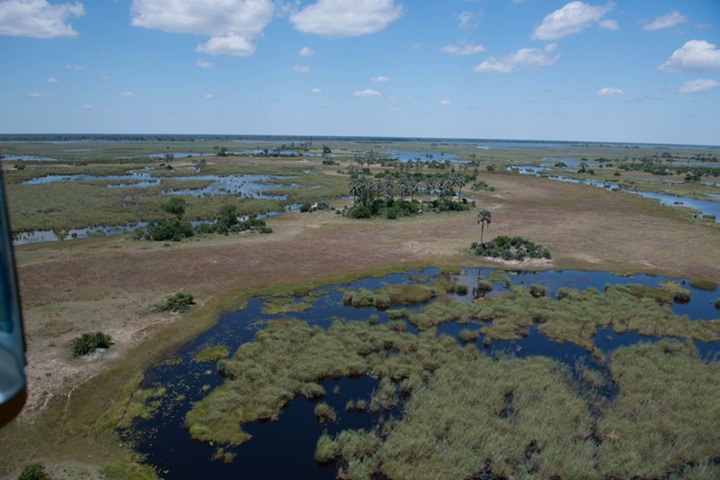 187-Botswana, Okavango