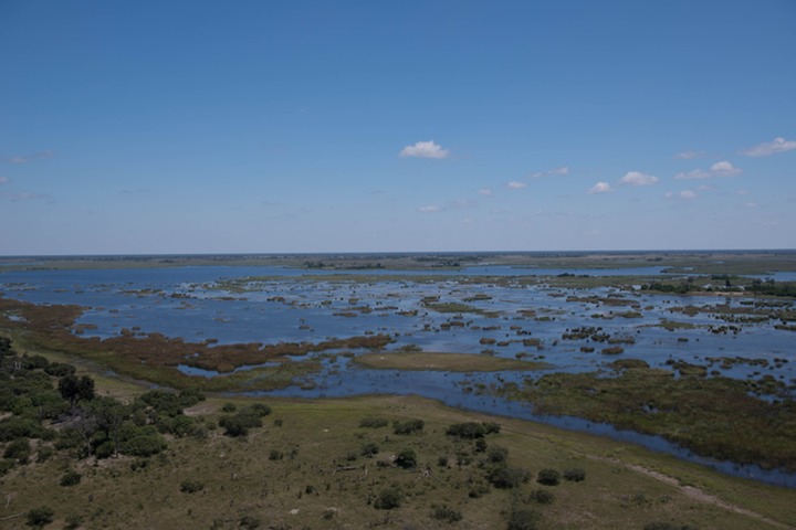 189-Botswana, Okavango