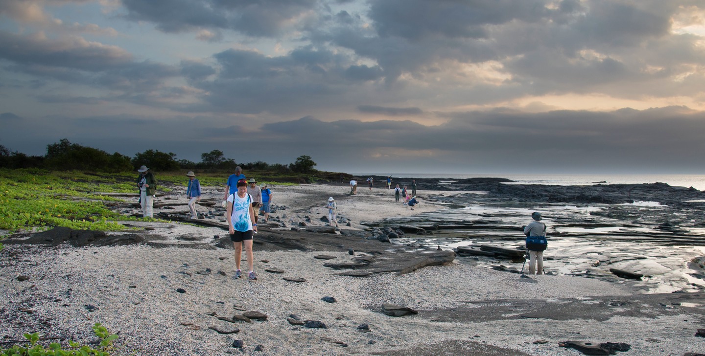 109_Lava beach_Iguanas-tame birds_Santiago_Puerto Egas